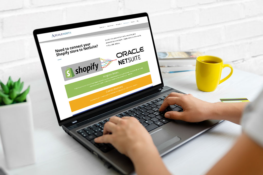 netsuite for ecommerce company