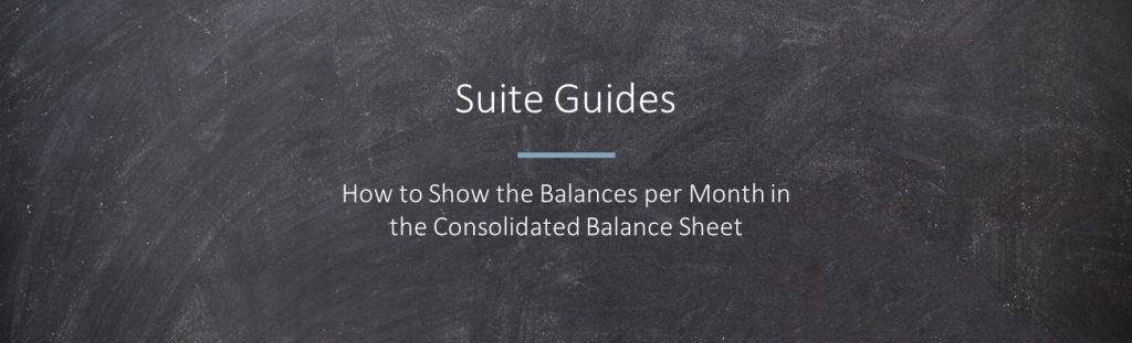 showing the balances per month in consolidated balance sheet
