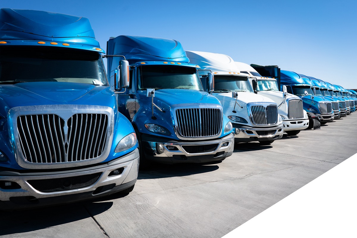 netsuite consulting for wholesale distribution