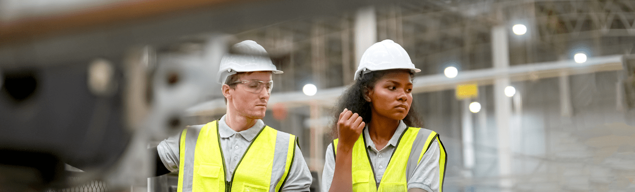 introduction to netsuite inventory management system