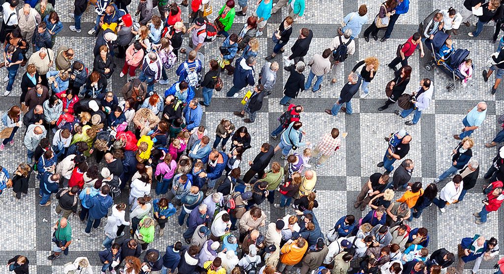 microsoft-dynamics-versus-netsuite-comparison