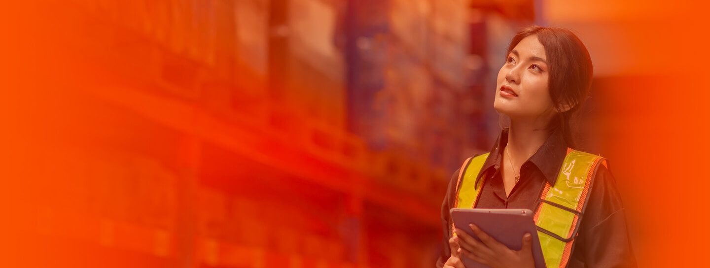 NetSuite ERP warehouse management solutions – ScaleNorth